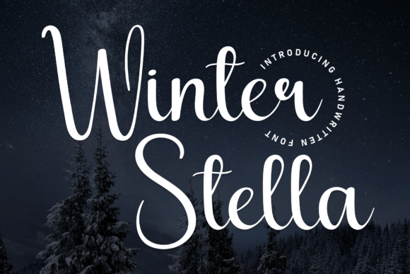 Winter Stella Font for Business Branding and Design